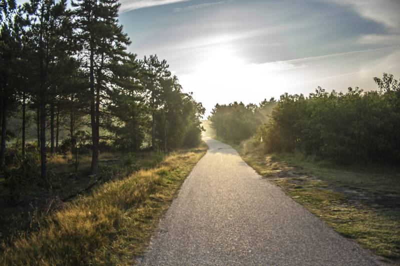 So geht nachhaltiger Urlaub auf Ameland – Tipps & Inspiration