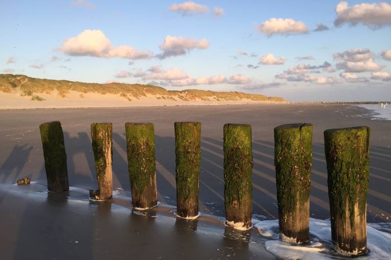 Strandurlaub Niederlande: Warum Ameland die perfekte Wahl für Ruhe und Natur ist