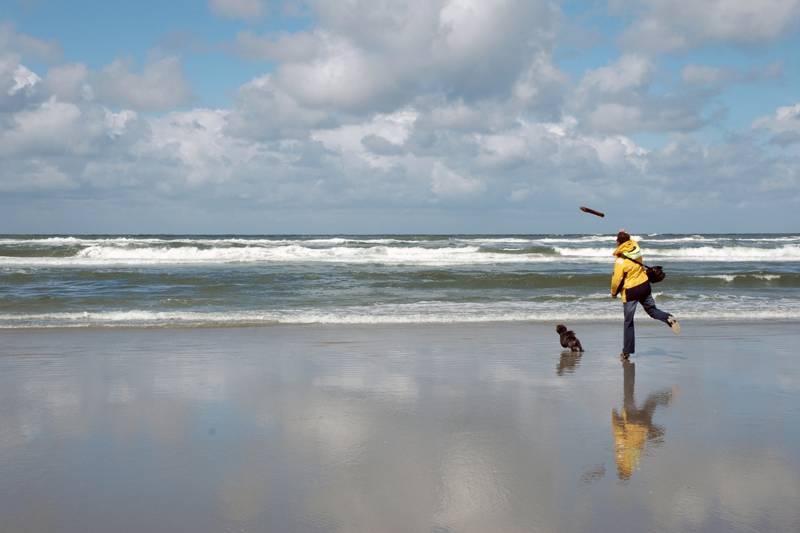 Urlaub Ameland mit Hund in einer luxuriösen Unterkunft genießen