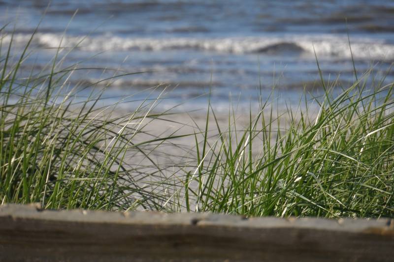 Warum ein Urlaub auf Ameland perfekt ist für Ihre digitale Auszeit