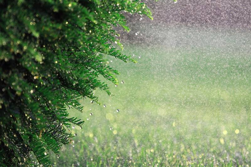 Was tun auf Ameland bei Regen?