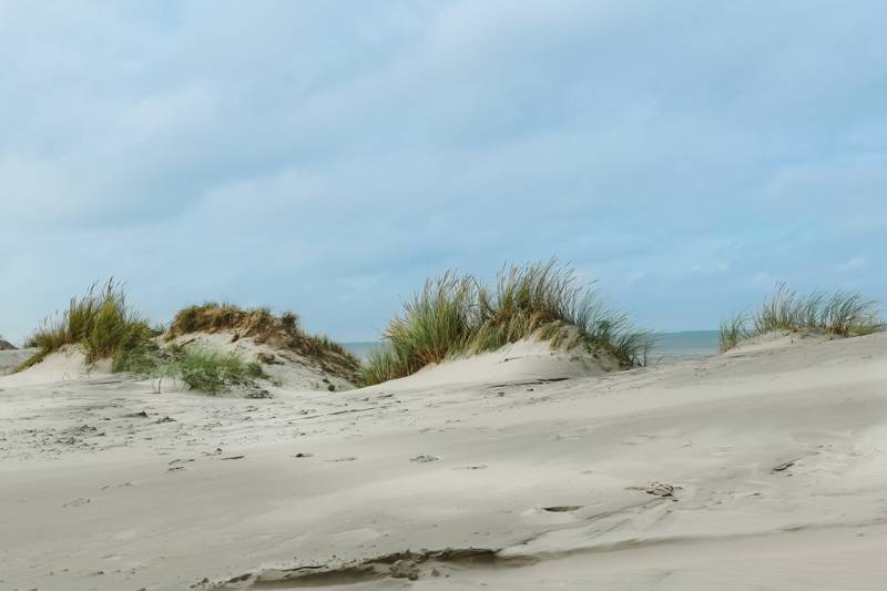 Luxusvilla am Meer: Entdecken Sie das Beste von Ameland